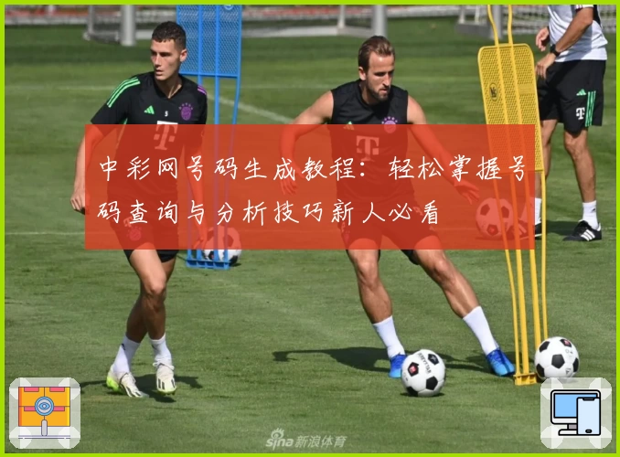 中彩网号码生成教程：轻松掌握号码查询与分析技巧新人必看
