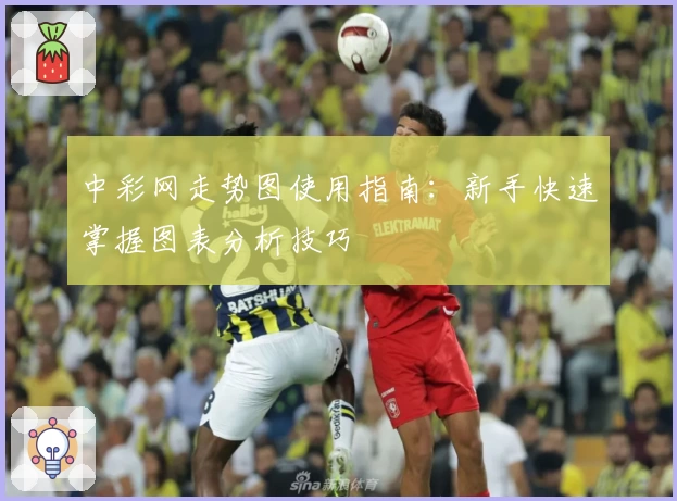 中彩网走势图使用指南：新手快速掌握图表分析技巧