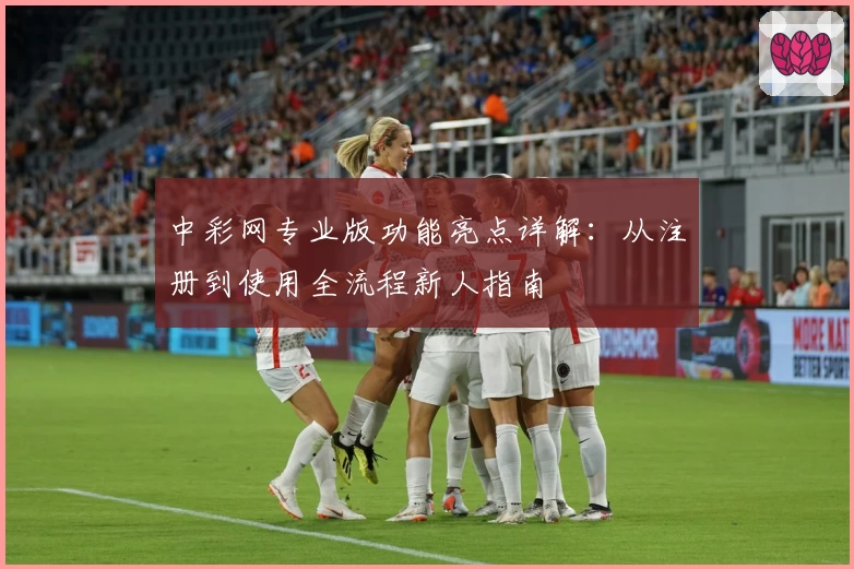 中彩网专业版功能亮点详解：从注册到使用全流程新人指南