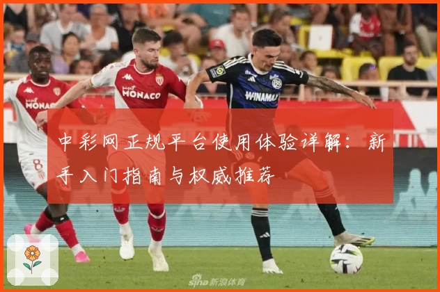中彩网正规平台使用体验详解:新手入门指南与权威推荐