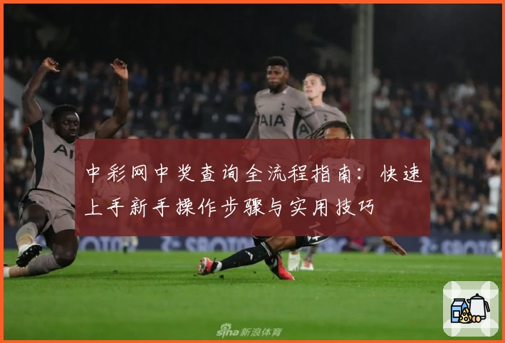 中彩网中奖查询全流程指南：快速上手新手操作步骤与实用技巧