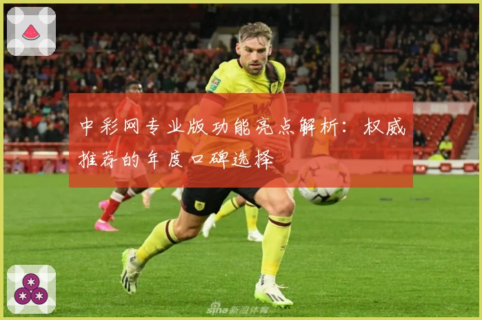 中彩网专业版功能亮点解析：权威推荐的年度口碑选择