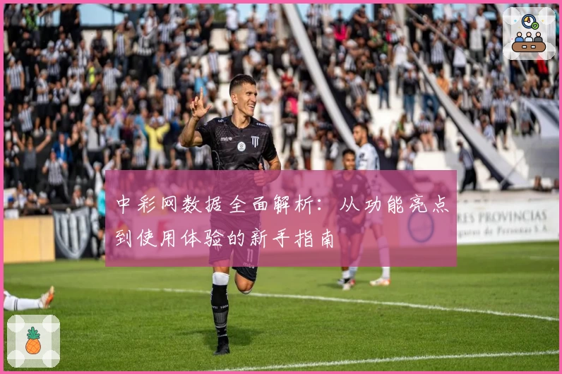 中彩网数据全面解析:从功能亮点到使用体验的新手指南