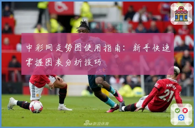 中彩网走势图使用指南：新手快速掌握图表分析技巧