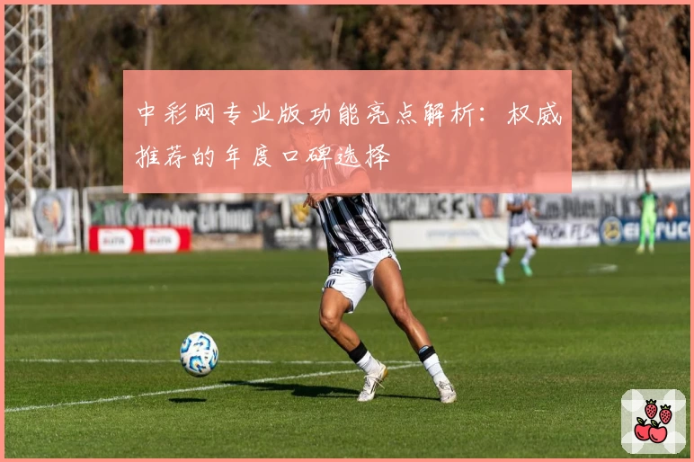 中彩网专业版功能亮点解析：权威推荐的年度口碑选择