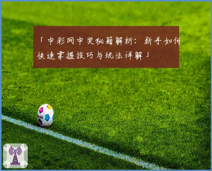 「中彩网中奖秘籍解析：新手如何快速掌握技巧与玩法详解」