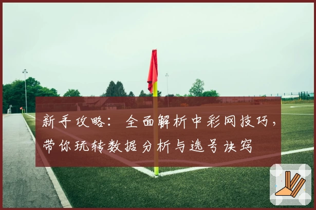 新手攻略：全面解析中彩网技巧，带你玩转数据分析与选号诀窍