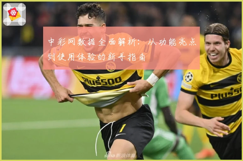 中彩网数据全面解析：从功能亮点到使用体验的新手指南